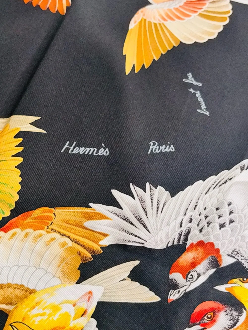 Hermès L'Intrus Silk Carré 90 Bird Scarf